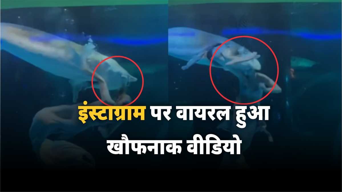 इंस्टाग्राम वायरल वीडियो, जलपरी हमला, एक्वेरियम वीडियो, मछली का हमला, सोशल मीडिया ट्रेंड, वायरल रील, रूसी महिला